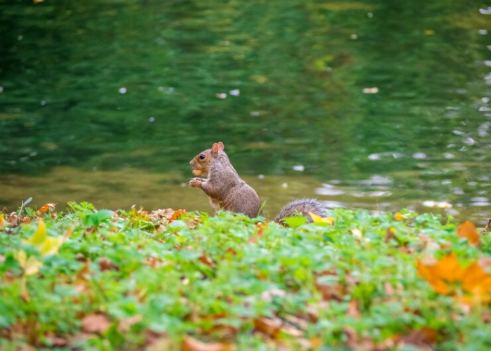 busy beaver fairmont wv