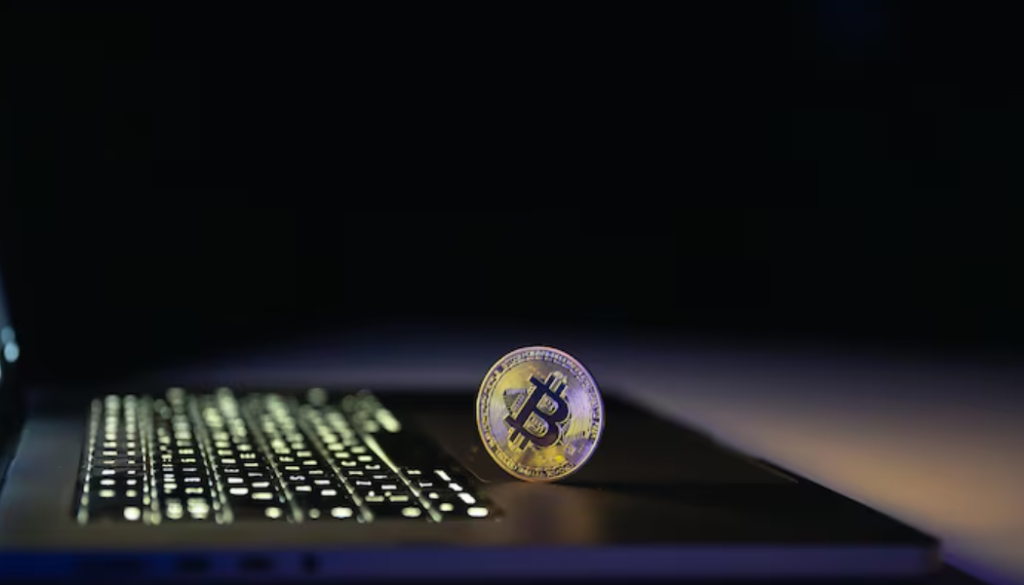 cryptopronetwork business