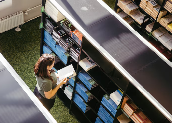 TataSec Business Insights Archives